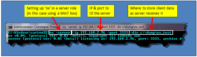 nx server setup